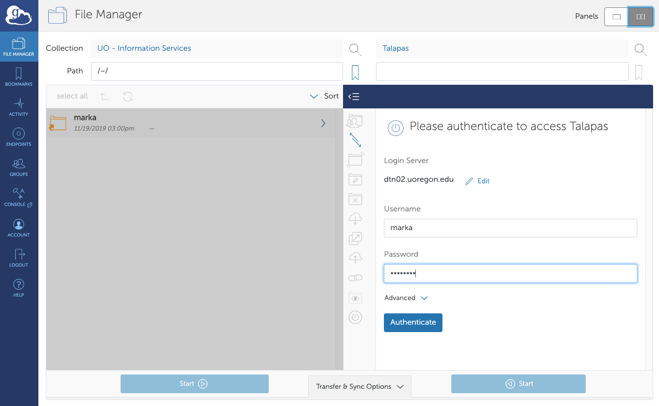 Globus Authenticate